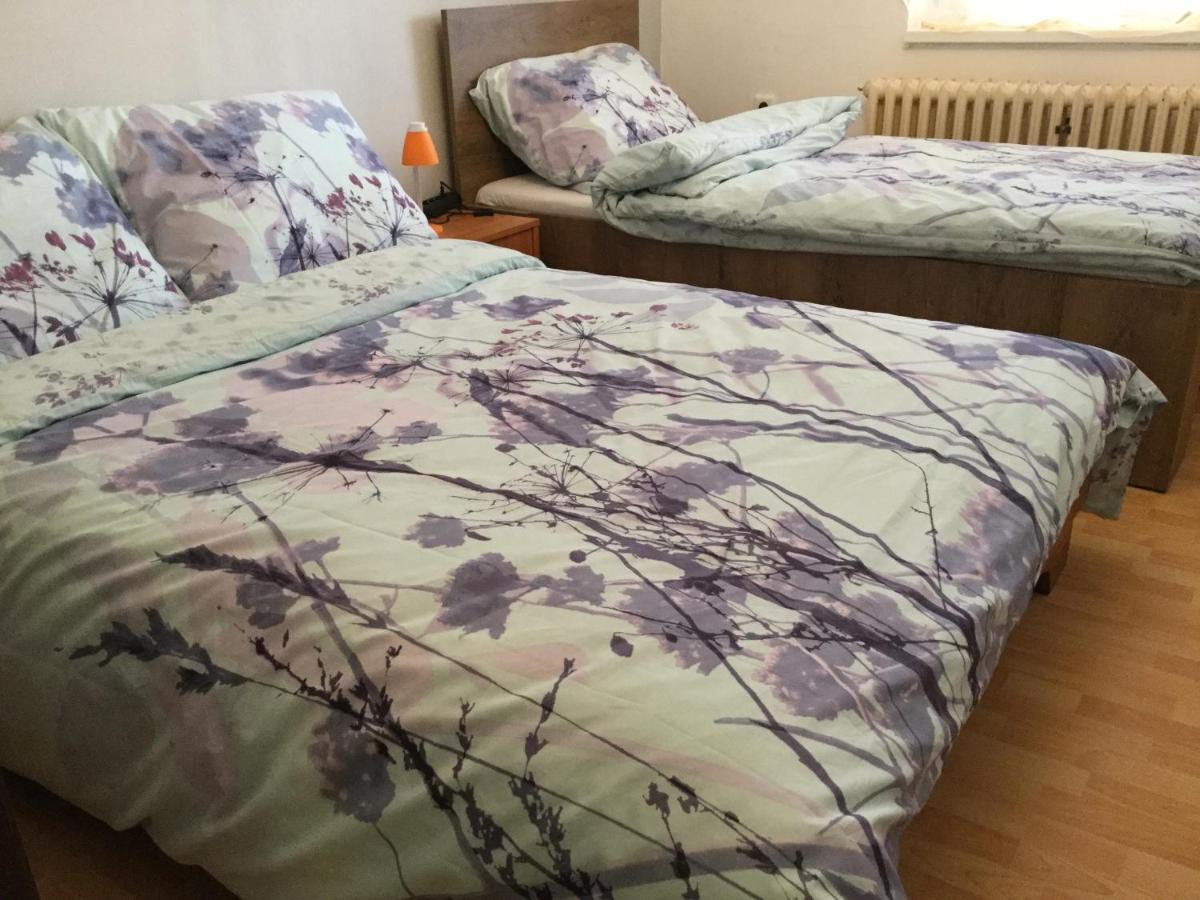 Lydiavi Apartment Vysoke Myto Phòng bức ảnh